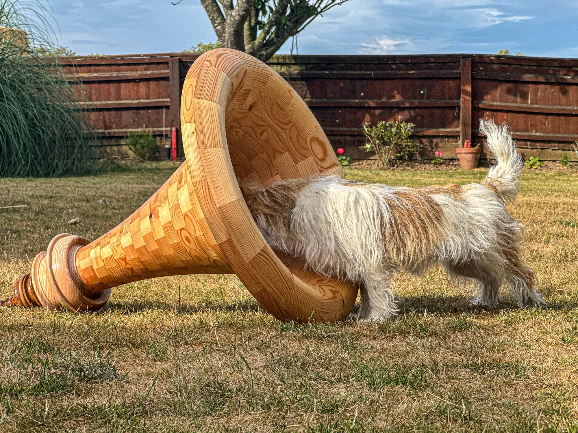 Massive Horn
